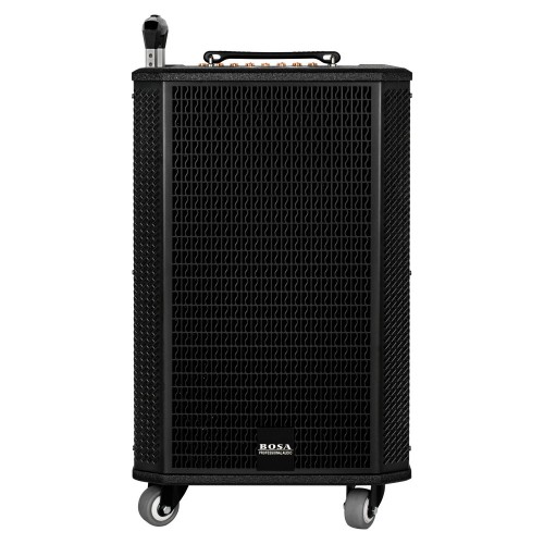 Loa Karoke Kết Hợp Guitar Bosa PA-710